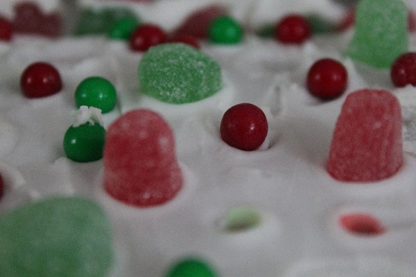 New Camera Dec2010 383